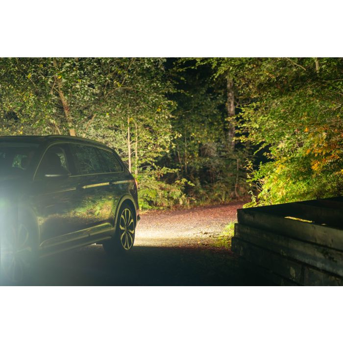 LEDSON Nano baklys oplyser en mørk skovvej med stærkt lys fra en bil.