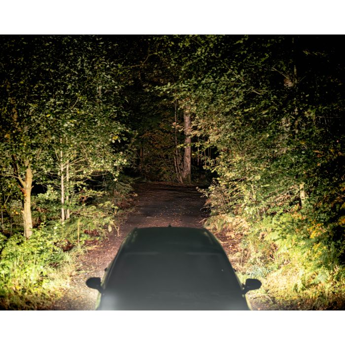 LEDSON Nano baklygte lyser skovvej op om natten.